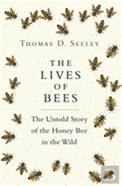 The Lives Of Bees