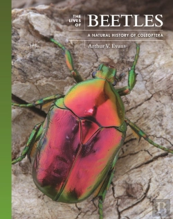 Bertrand.pt - The Lives Of Beetles