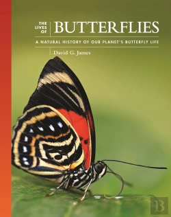 Bertrand.pt - The Lives Of Butterflies