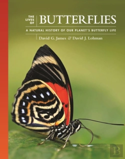 Bertrand.pt - The Lives Of Butterflies