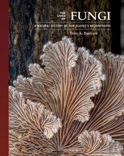 Bertrand.pt - The Lives Of Fungi