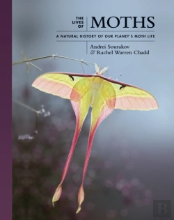 Bertrand.pt - The Lives Of Moths