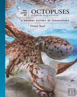 Bertrand.pt - The Lives Of Octopuses And Their Relatives