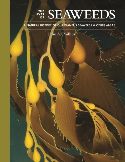 Bertrand.pt - The Lives Of Seaweeds