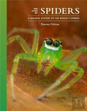 The Lives Of Spiders
