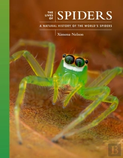 Bertrand.pt - The Lives Of Spiders