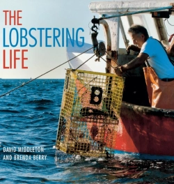 Bertrand.pt - The Lobstering Life