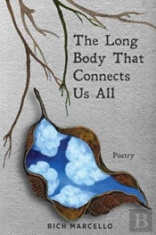 The Long Body That Connects Us All