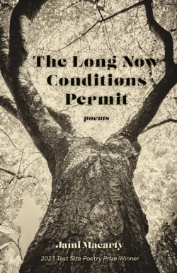 Bertrand.pt - The Long Now Conditions Permit