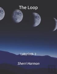 The Loop