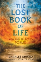 The Lost Book Of Life