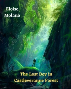 Bertrand.pt - The Lost Boy In Castleveranne Forest