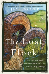 The Lost Flock