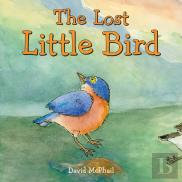 The Lost Little Bird