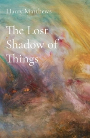The Lost Shadow Of Things