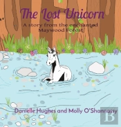 The Lost Unicorn