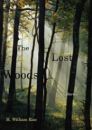 The Lost Woods