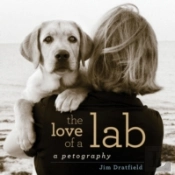 The Love Of A Lab