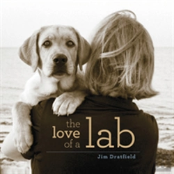 Bertrand.pt - The Love Of A Lab