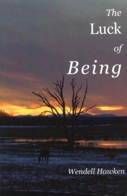 Bertrand.pt - The Luck Of Being