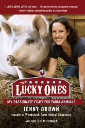 The Lucky Ones