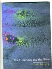 The Luminous And The Grey