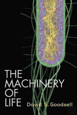 Bertrand.pt - The Machinery Of Life