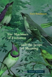 The Machines Of Evolution And The Scope Of Meaning