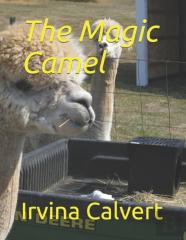 The Magic Camel