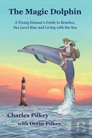 The Magic Dolphin