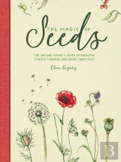 The Magic Of Seeds