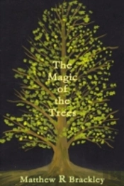 The Magic Of The Trees