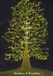 The Magic Of The Trees