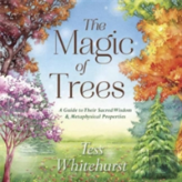 The Magic Of Trees