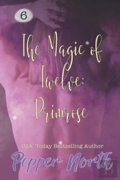 The Magic Of Twelve