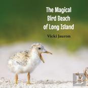 The Magical Bird Beach Of Long Island