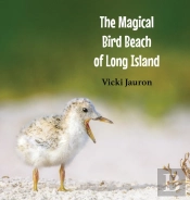 The Magical Bird Beach Of Long Island