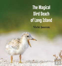 Bertrand.pt - The Magical Bird Beach Of Long Island