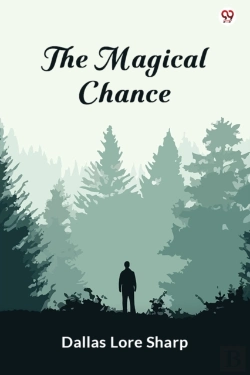 Bertrand.pt - The Magical Chance (Edition1)