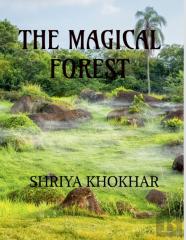 The Magical Forest