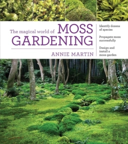 Bertrand.pt - The Magical World Of Moss Gardening