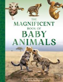 The Magnificent Book Of Baby Animals