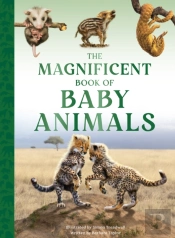 The Magnificent Book Of Baby Animals