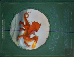 Bertrand.pt - The Magnificent Book Of Dragons