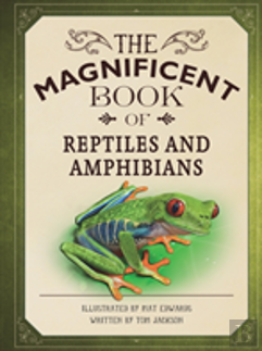 The Magnificent Book Of Reptiles And Amphibians