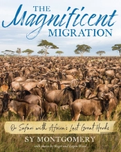 The Magnificent Migration