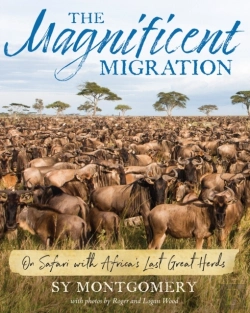 Bertrand.pt - The Magnificent Migration