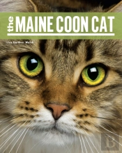 The Maine Coon Cat