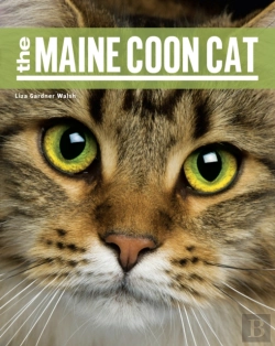 Bertrand.pt - The Maine Coon Cat