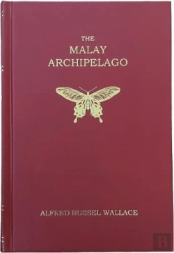 Bertrand.pt - The Malay Archipelago